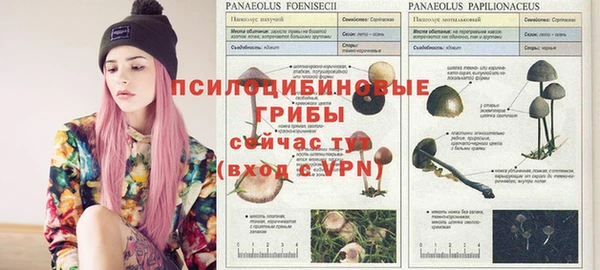 МДМА Алзамай
