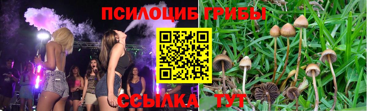Галлюциногенные грибы ЛСД Богородск