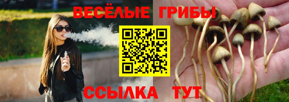 Богородск  Псилоцибиновые грибы Psilocybe  Вход с VPN  Псилоцибиновые грибы мухоморы 